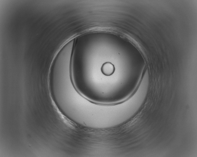 X0000073471050200608181326