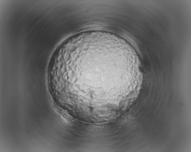 X0000073471051200608181326