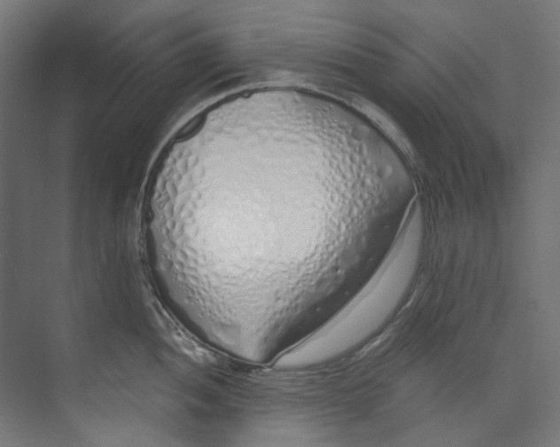 X0000073471052200608181326