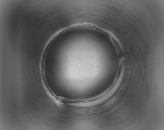 X0000073471054200608181326