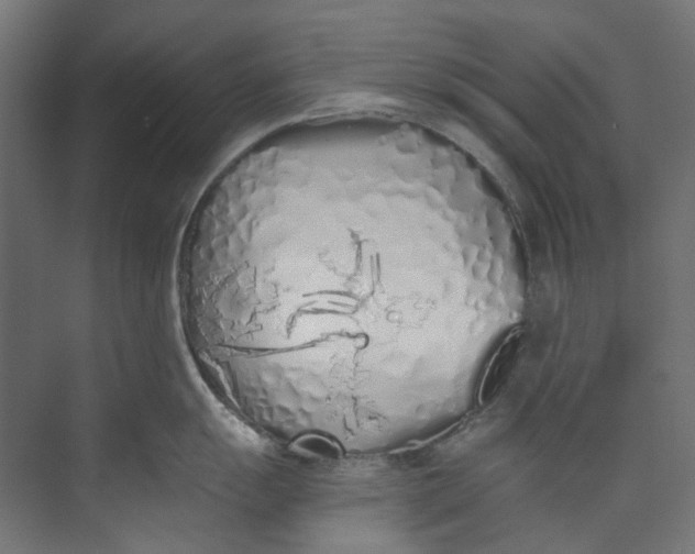 X0000073471055200608181326