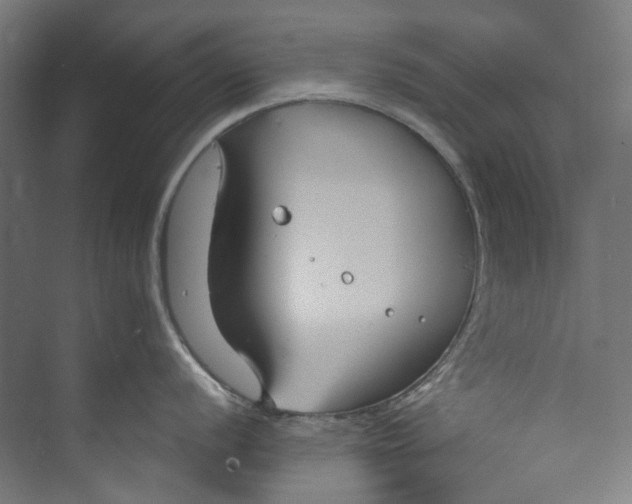 X0000073471056200608181326