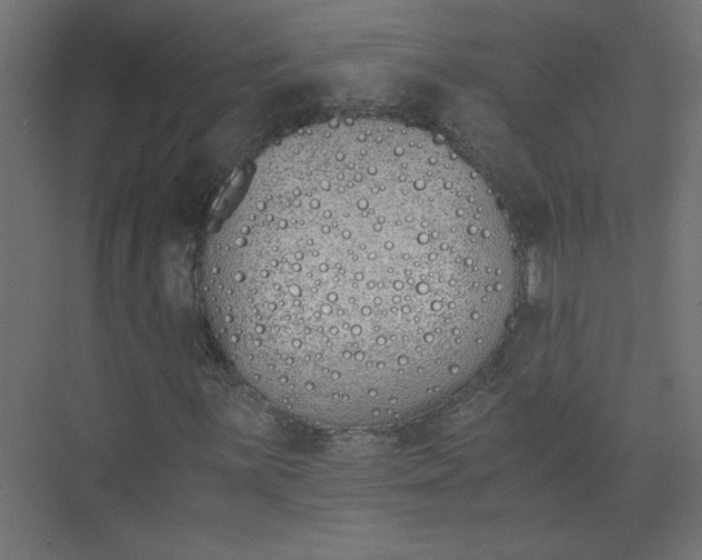 X0000073471059200608181325