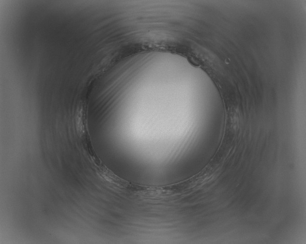 X0000073471060200608181325