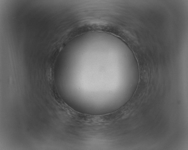 X0000073471061200608181325