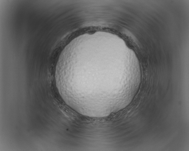 X0000073471064200608181325