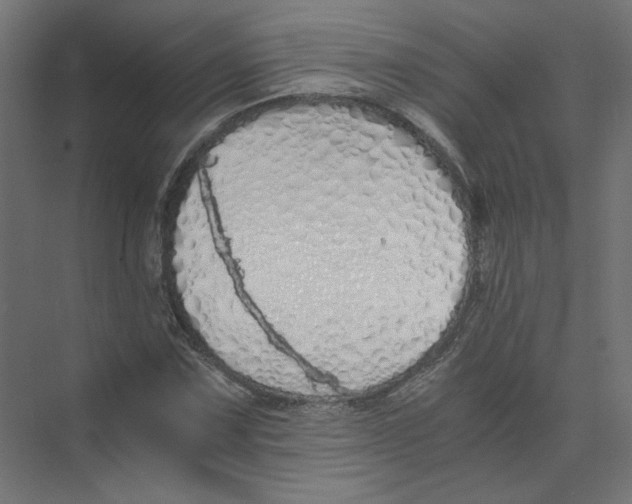 X0000073471067200608181325