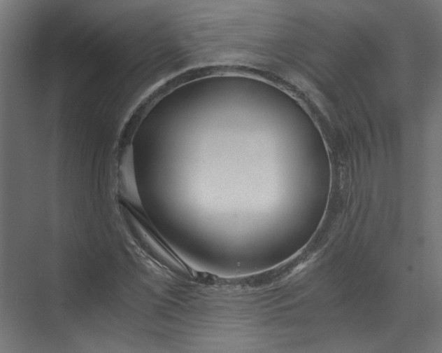 X0000073471069200608181325