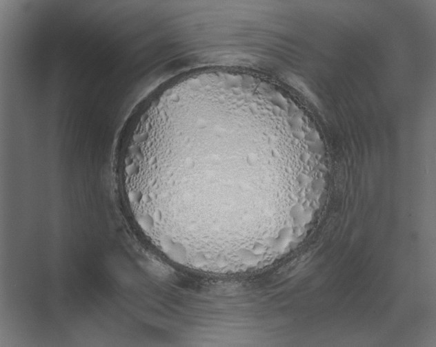 X0000073471071200608181325