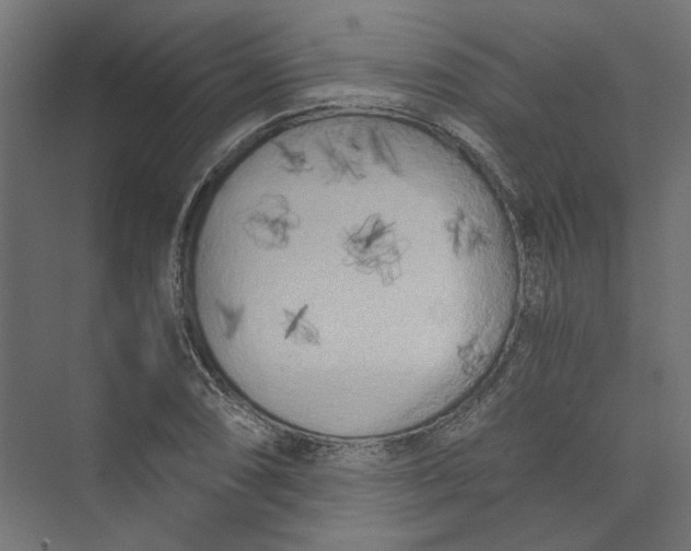 X0000073471074200608181325