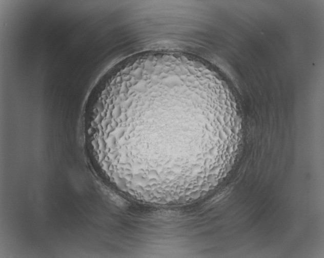 X0000073471075200608181325