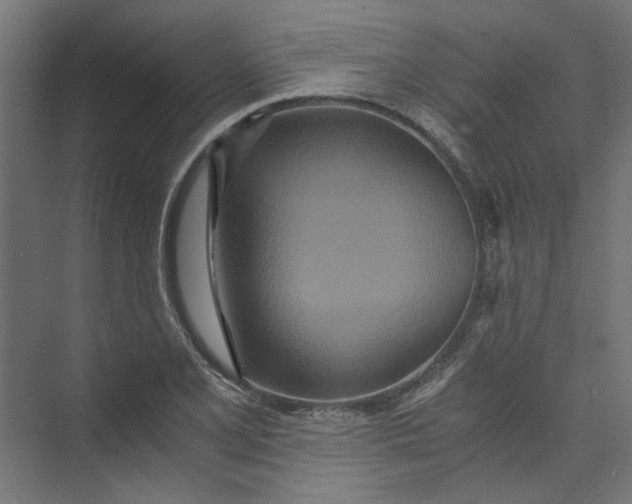 X0000073471077200608181325