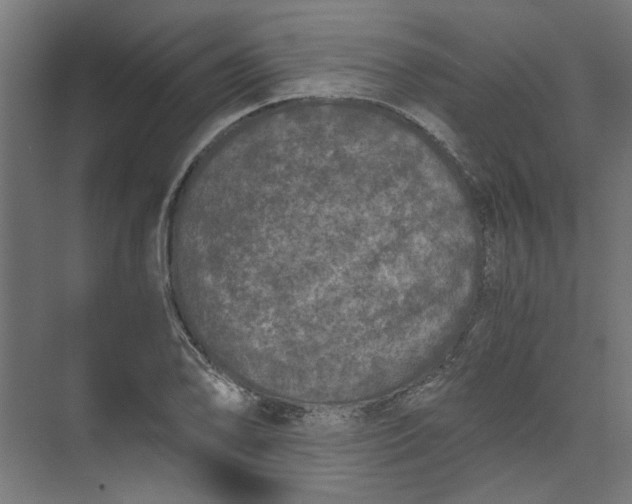 X0000073471078200608181325