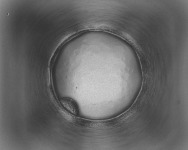 X0000073471079200608181325