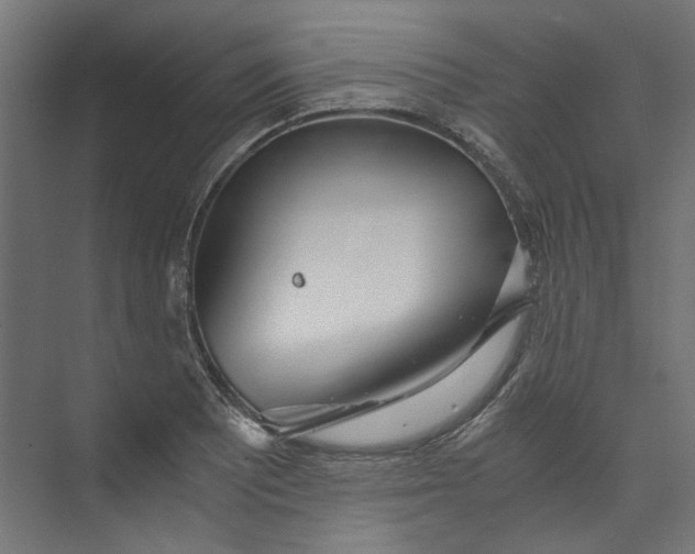 X0000073471081200608181325