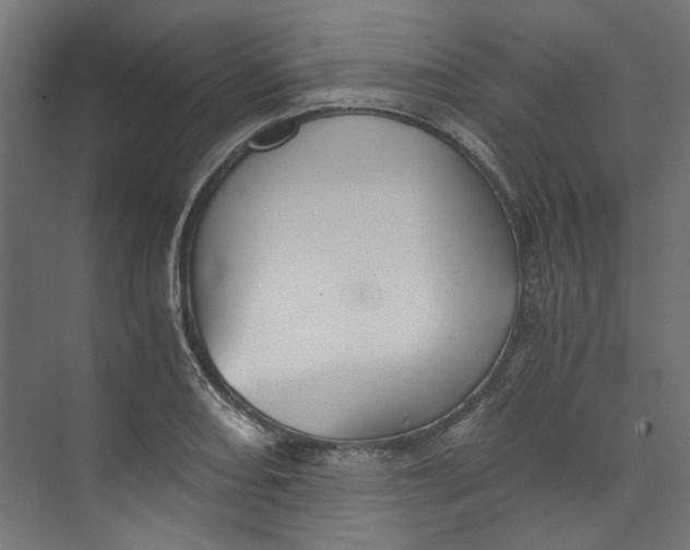 X0000073471082200608181325