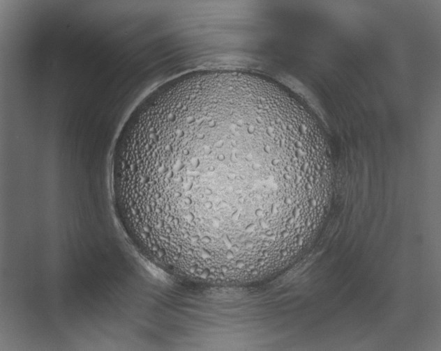 X0000073471083200608181325