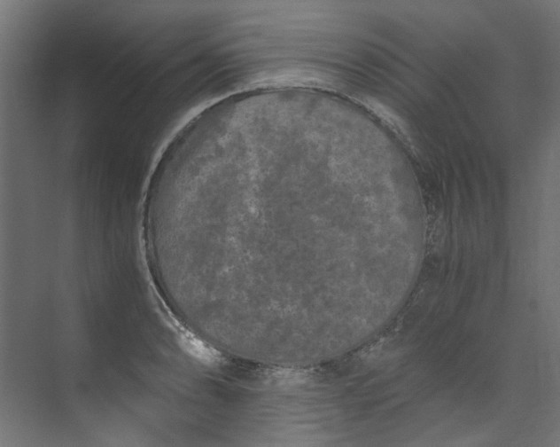 X0000073471086200608181325