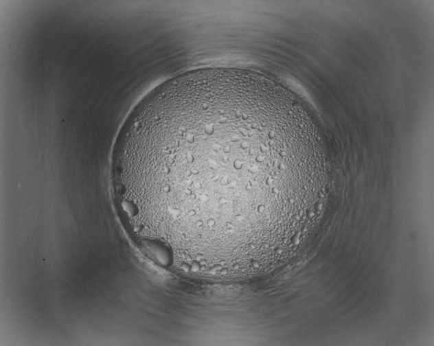 X0000073471087200608181325