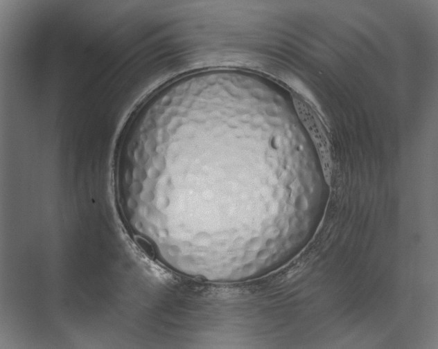 X0000073471088200608181325