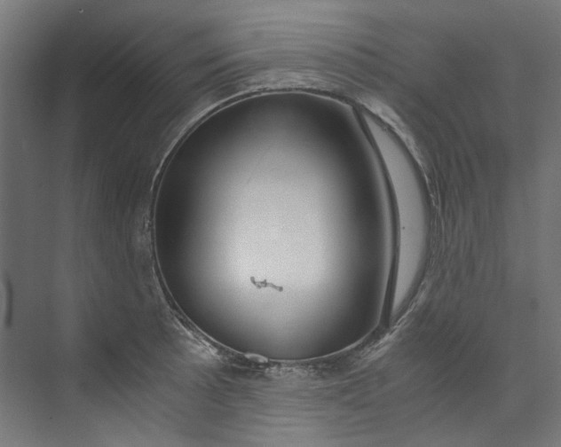 X0000073471089200608181325