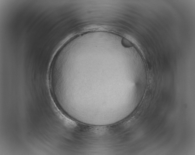 X0000073471090200608181325