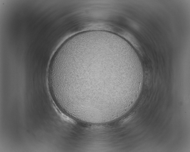 X0000073471094200608181325