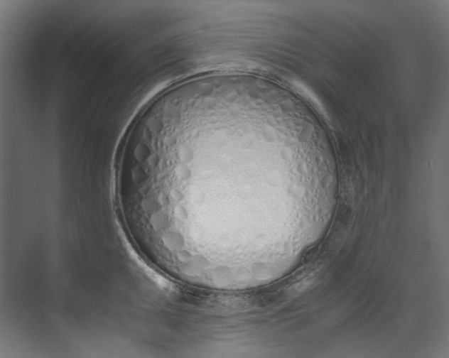 X0000073471095200608181325