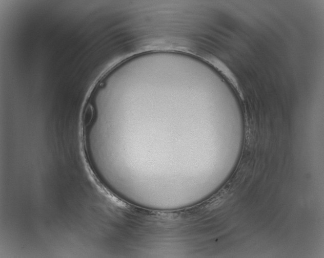 X0000073471096200608181325