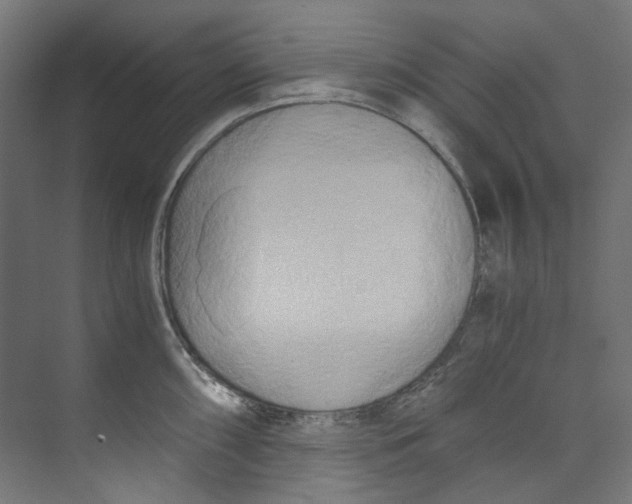 X0000073471098200608181325