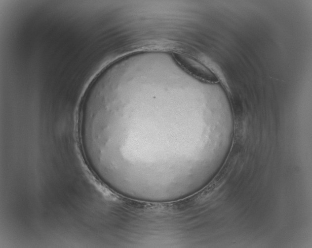 X0000073471099200608181324