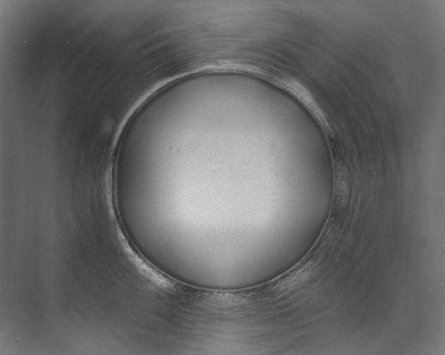 X0000073471100200608181324