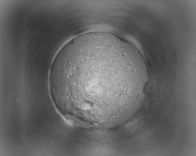 X0000073471103200608181324