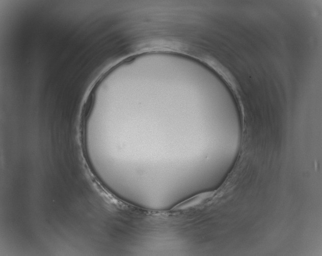 X0000073471104200608181324