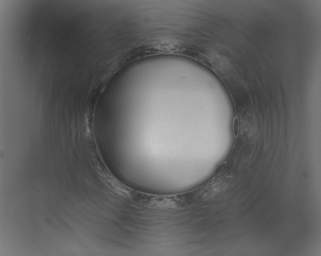 X0000073471106200608181324