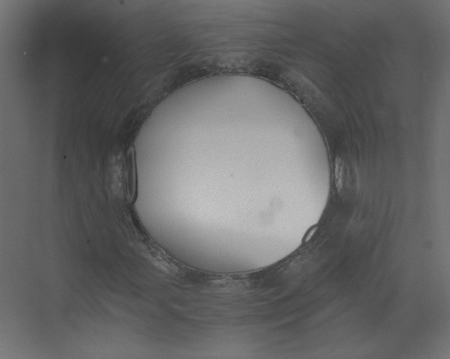 X0000073471107200608181324