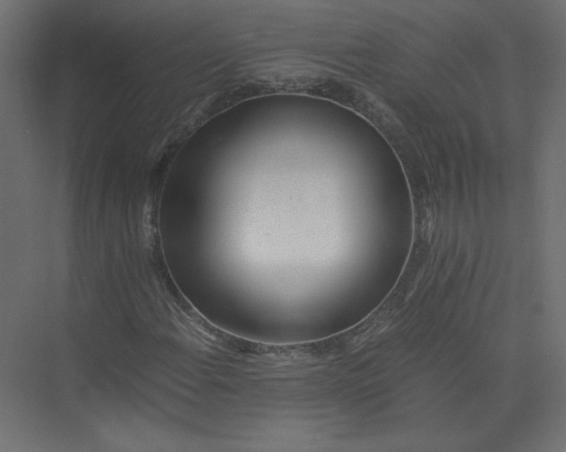 X0000073471108200608181324