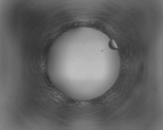 X0000073471109200608181324