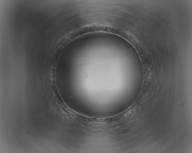 X0000073471110200608181324