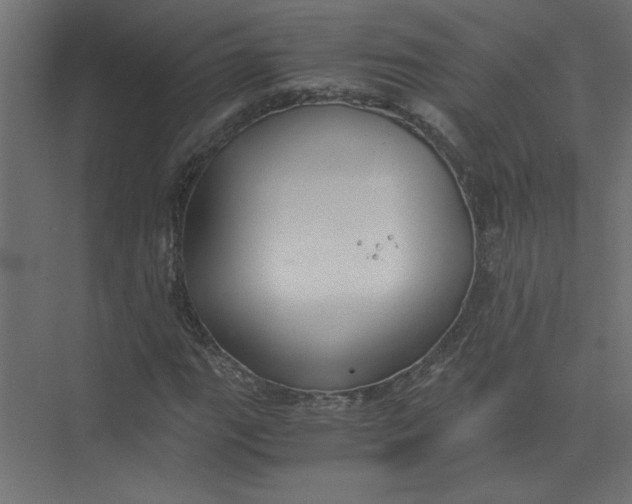 X0000073471111200608181324