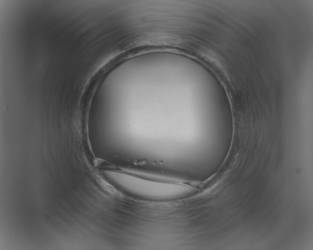 X0000073471114200608181324