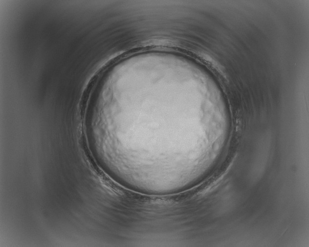 X0000073471117200608181324