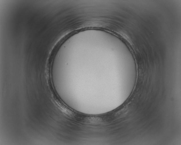 X0000073471119200608181324