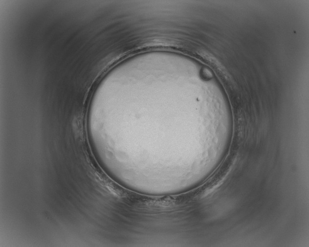 X0000073471121200608181324