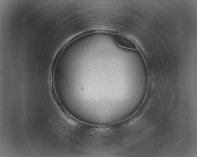 X0000073471125200608181324