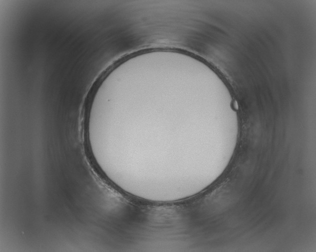 X0000073471126200608181324