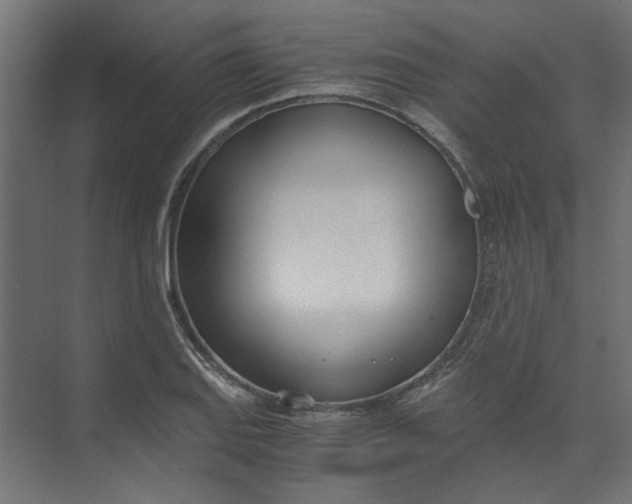 X0000073471127200608181324