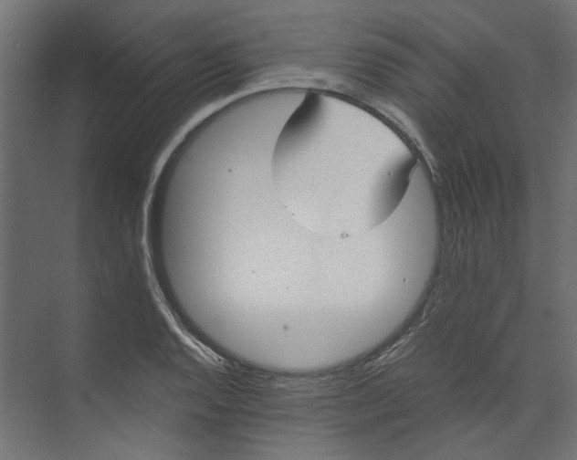 X0000073471128200608181324