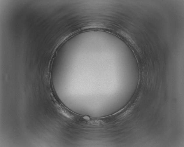 X0000073471129200608181324