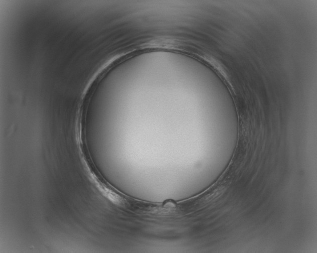 X0000073471131200608181324